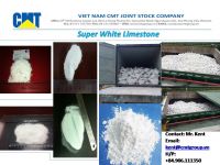 Super White Limestone/Calcium Carbonate/Calcite/Ground Calcium Carbonate/GCC/CaCO3 Powder-granular-chips-lumps