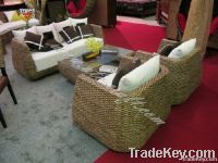 Water hyacinth Sofa set