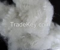 Polyester staple fiber (material:PET, PET bottle flakes)