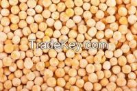 Whole green and yellow peas #2 Canada origin