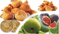 Dried Figs