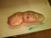 Sweet Potatoes