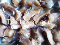 dried sea snails