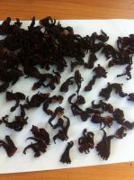 Dried Hibiscus , Hibiscus seeds