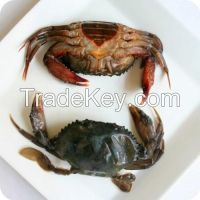 soft shell crab