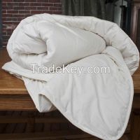 Wool and Organic Cotton Sateen Comforter