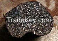 https://www.tradekey.com/product_view/Black-Perigord-Truffle-Cut-7702219.html