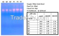 CC Genomic DNA Isolation Kit (Blood/Cultured Cell)