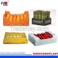 Plastic Corrugated Fruit And Vegetable Box
