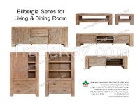 Billbergia Living & Dining Room Furniture in Solid Acacia
