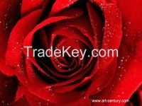 https://www.tradekey.com/product_view/Abstract-Art-Pictures-7698704.html