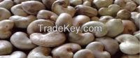 Raw cashew nuts