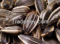 Organic Sunflower Seeds