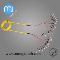 Bunched Fiber Optic Pigtail/Patch Cord/Jumper/Multi-core Patch Cord