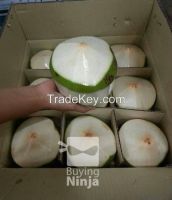 Young Thai Coconuts