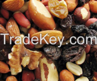 Nuts, Dry Fruits and Oily Seeds