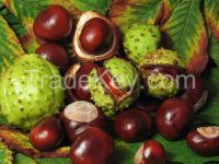 Organic certified Natural cosmetic ingredient Horse chestnut extract Aescin