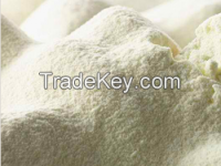 Skimmed Milk Powder