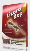 Lizard Repellent