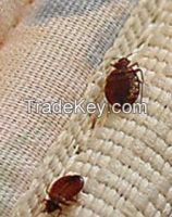 https://www.tradekey.com/product_view/Bed-Bug-Repellent-7719581.html