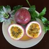 Passion fruit