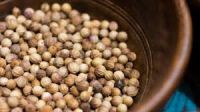 Coriander seed