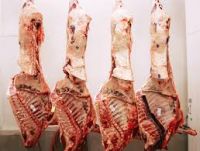 Beef Carcass