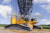 Crawler Cranes