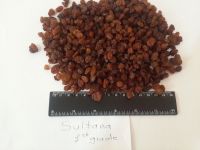 raisins from Uzbekistan