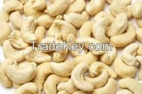 Unprocessed Cashew Nuts with Competative prices