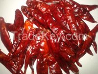 DRY RED CHILLI [TEJA]