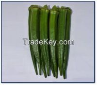 Hybrid Okra seeds