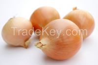 Fresh onions 2014