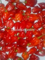  ,scotch bonnet chilli peppers,ginger,seasonal vegetables