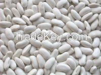 Egyptian white kidney beans