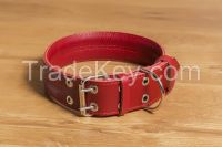 Dog collars & leads