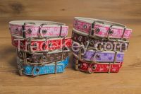 Dog collars &amp; leads