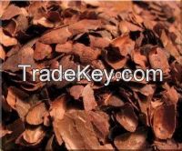 Cocoa Beans Shell
