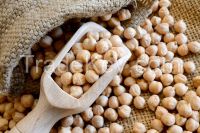 Indian Origin Chickpeas