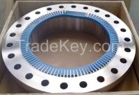 Fittings/Flanges