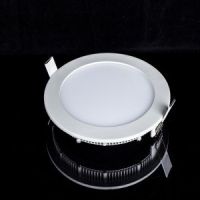 12W White Round LED Panel Light (YC-ZR-12)