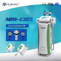 Cryolipolysis Cool Body Sculpting Machines Bell Fat Freeze Slimming Machine