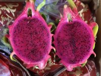 Fresh Dragon Fruit