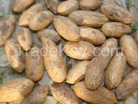 Raphia nuts