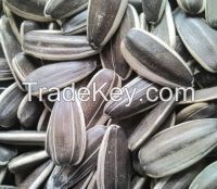 Sell high quality sunflower seeds