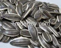 Chinese Sunflower Seeds,high quality