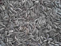 2014 new crop Sunflower Seeds