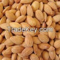 Sweet Almond