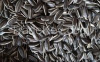 sunflower seeds