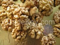 sell walnut kernels